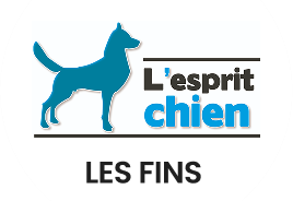 Logo Cyno-Pro Wasselonne