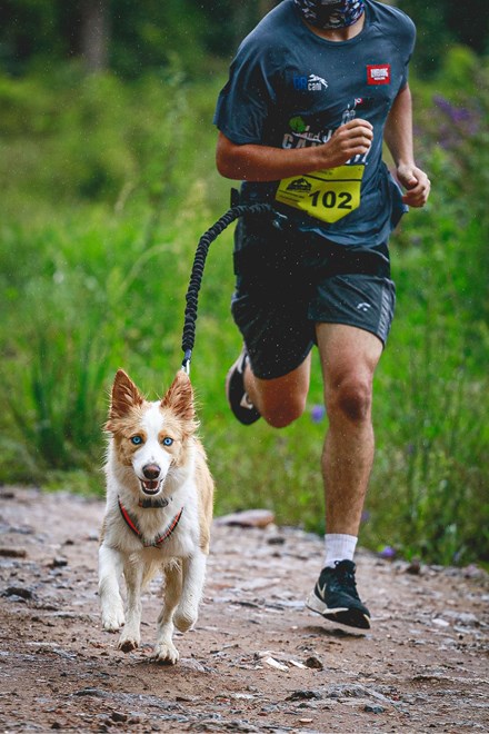 Sport canin