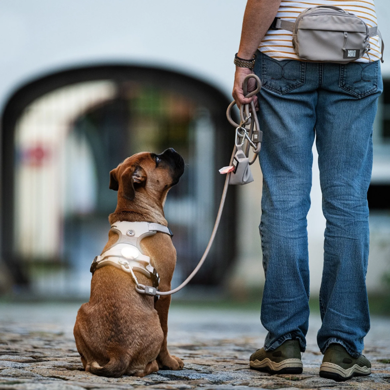 Lumière pour chien - MATRIX 2.0 Ultra Led (Sand) - Photo 4