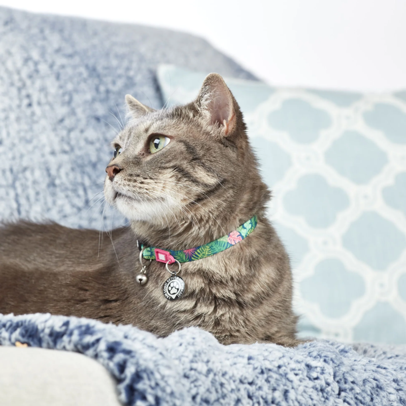 Collier pour chat "Smart ID" (Tropicale) - Photo 4