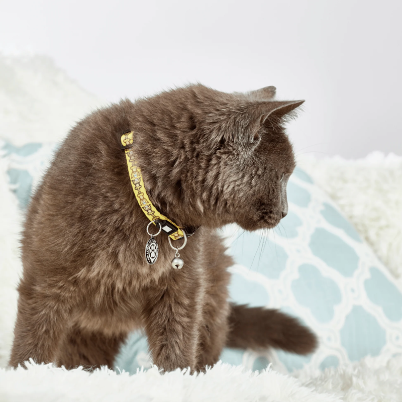 Collier pour chat "Smart ID" (Singes) - Photo 3