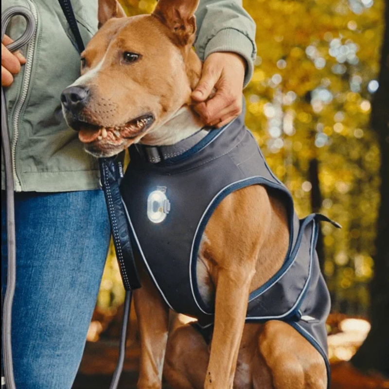 Lumière pour chien - MATRIX 2.0 Ultra Led (Stone) - Photo 4