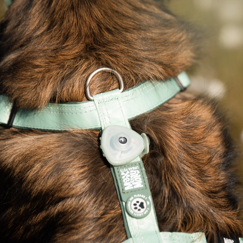 Anti-tique et puce à ultrason pour chien (Jade) - Photo 3