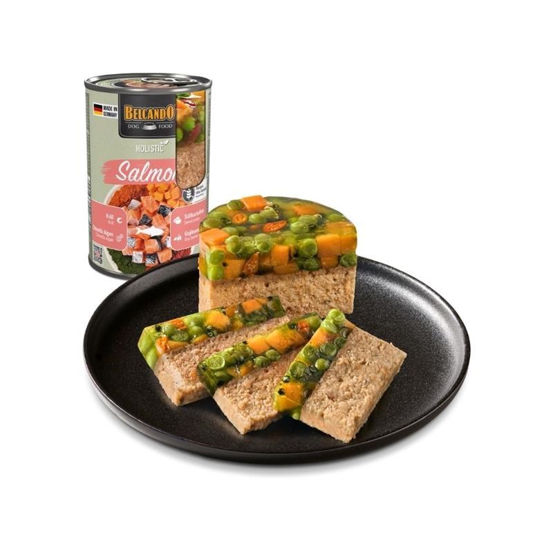 Pâtée pour chien - Boîte Holistic Saumon (400 g, Saumon) - Photo 2