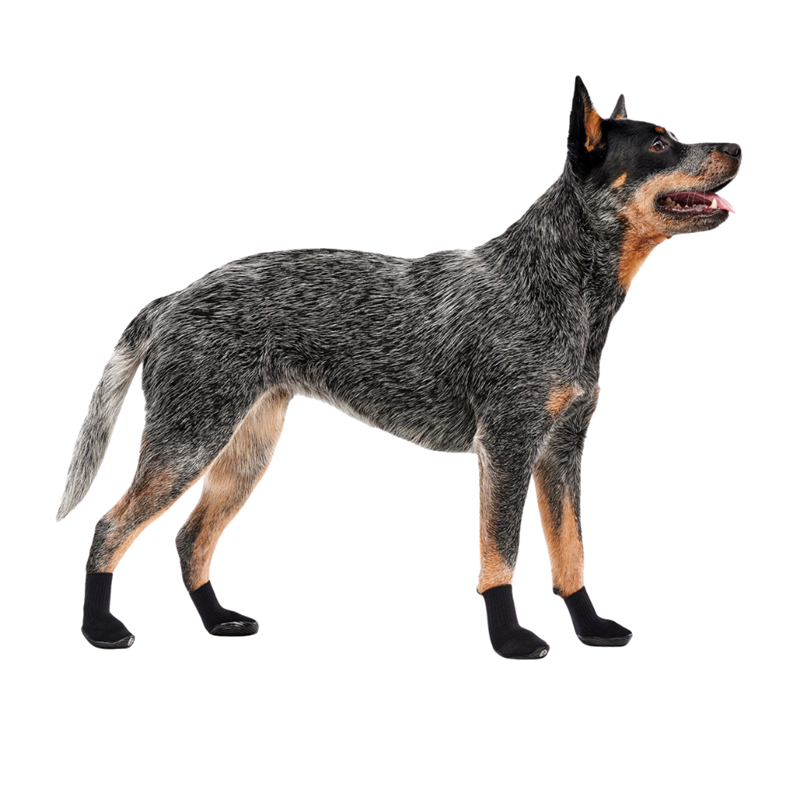 Botte pour chien de protection des coussinets renforcée (XXL, Noir) - Photo 2