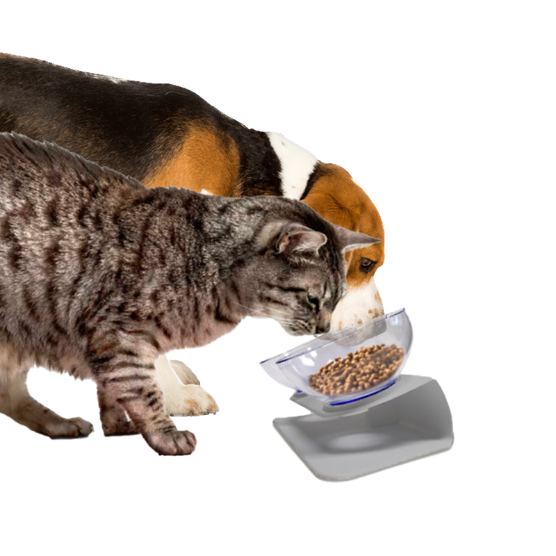 Gamelle double anti-vomissement pour chat (Gris) - Photo 2