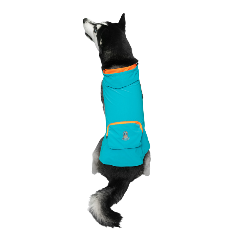 Poncho imperméable pour chien à capuche (XL, Turquoise, gris, 56 cm) - Photo 3