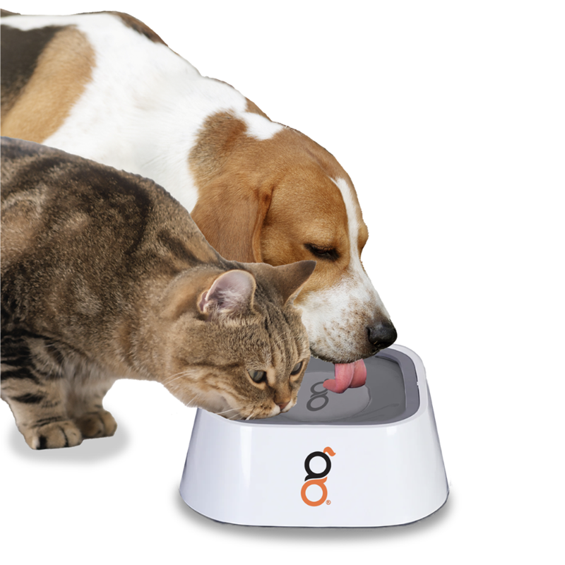 Gamelle carré anti-éclaboussure pour chien - Blanc/Gris (Blanc, gris) - Photo 2
