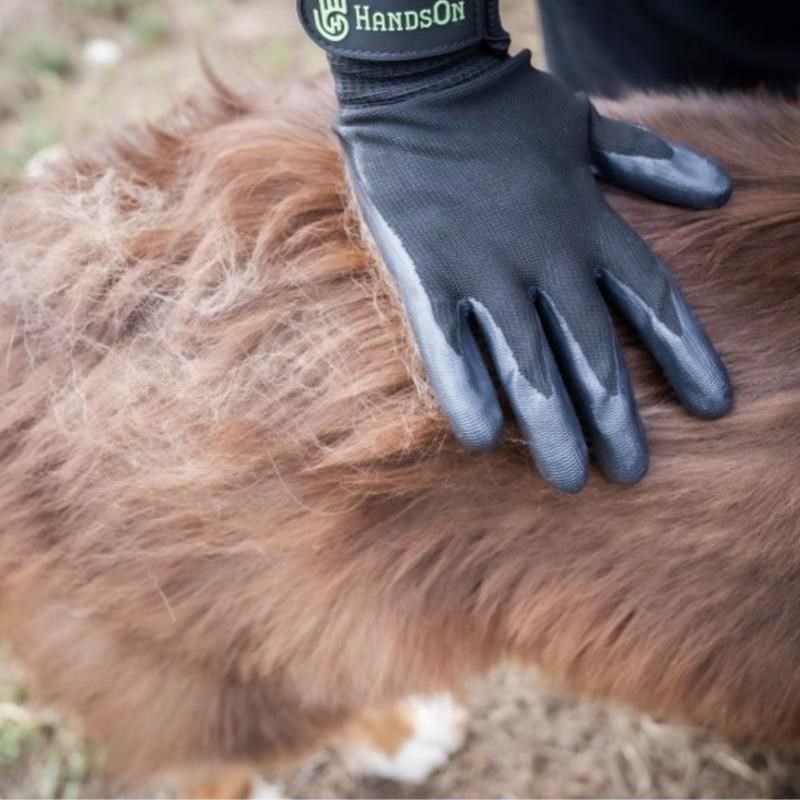 Gants de Toilettage pour chien (S, Vert) - Photo 2