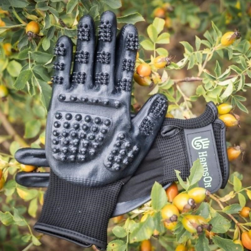 Gants de Toilettage pour chien (M, Noir) - Photo 2