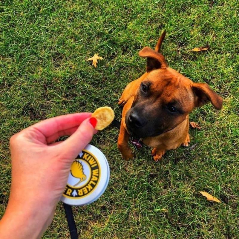 Friandise à la Banane - pour chien (70 g, Banane) - Photo 2