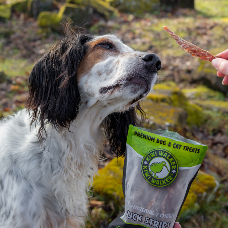 Friandise pour chien Air-dried 100% naturelle (Canard) - Photo 3