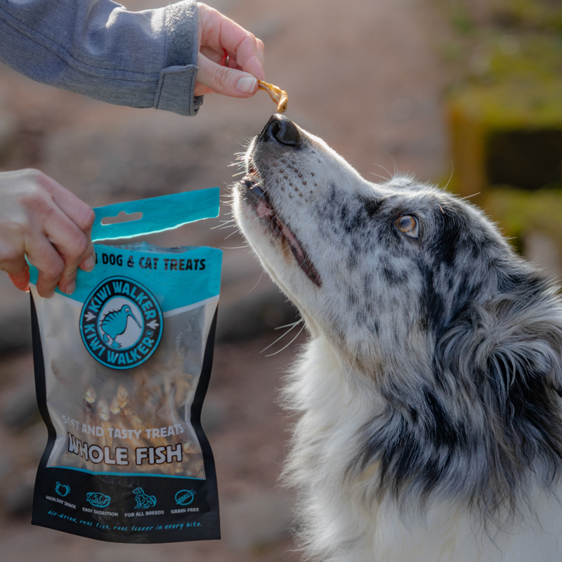Friandise pour chien Air-dried 100% naturelle (Poisson) - Photo 3