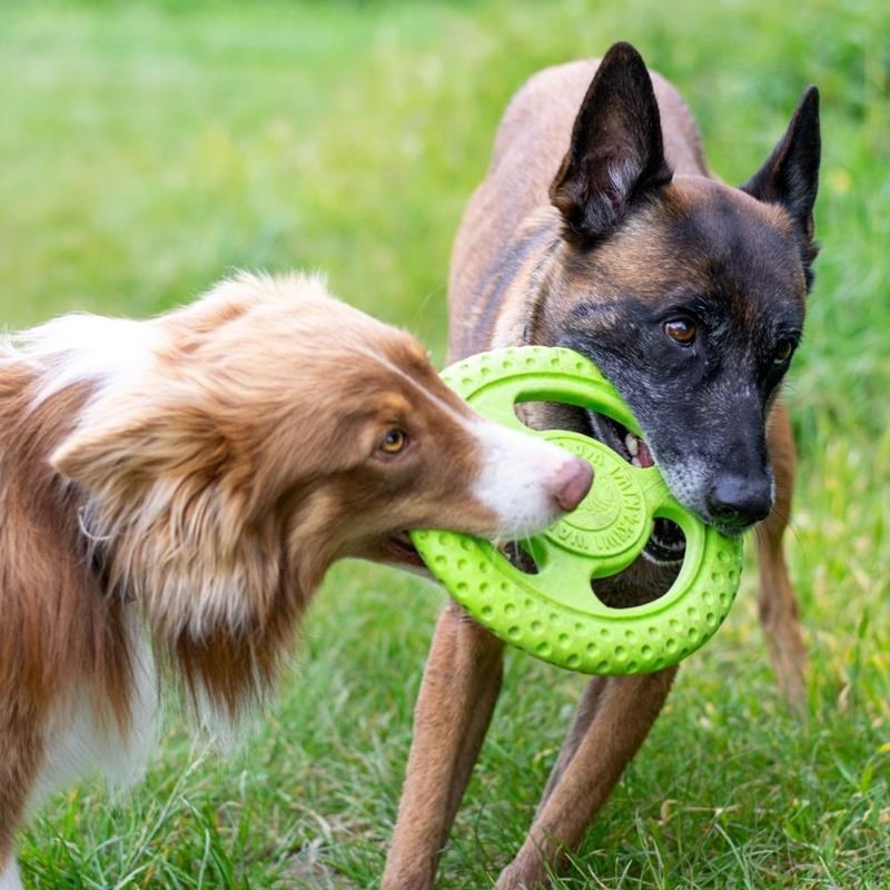 Frisbee "Let's Play" pour chien (Vert, Maxi) - Photo 3