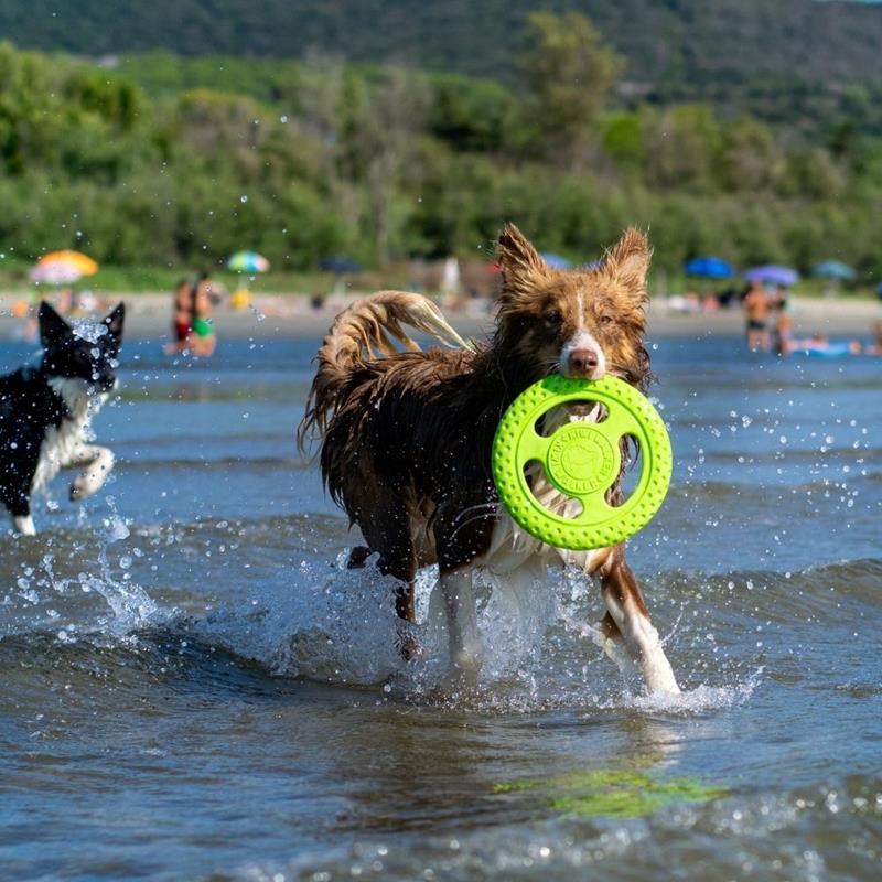 Frisbee "Let's Play" pour chien (Vert, Maxi) - Photo 4