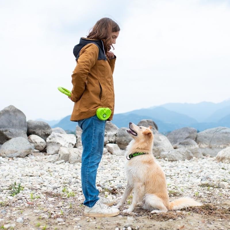 Anneau "Let's Play" pour chien (Vert, Maxi) - Photo 3