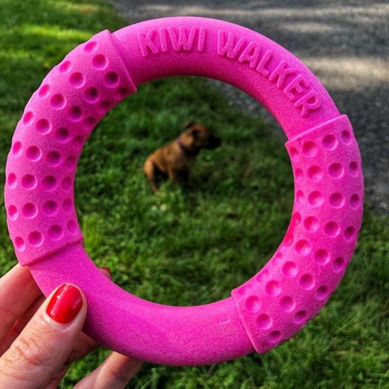 Anneau "Let's Play" pour chien (Rose, Maxi) - Photo 3