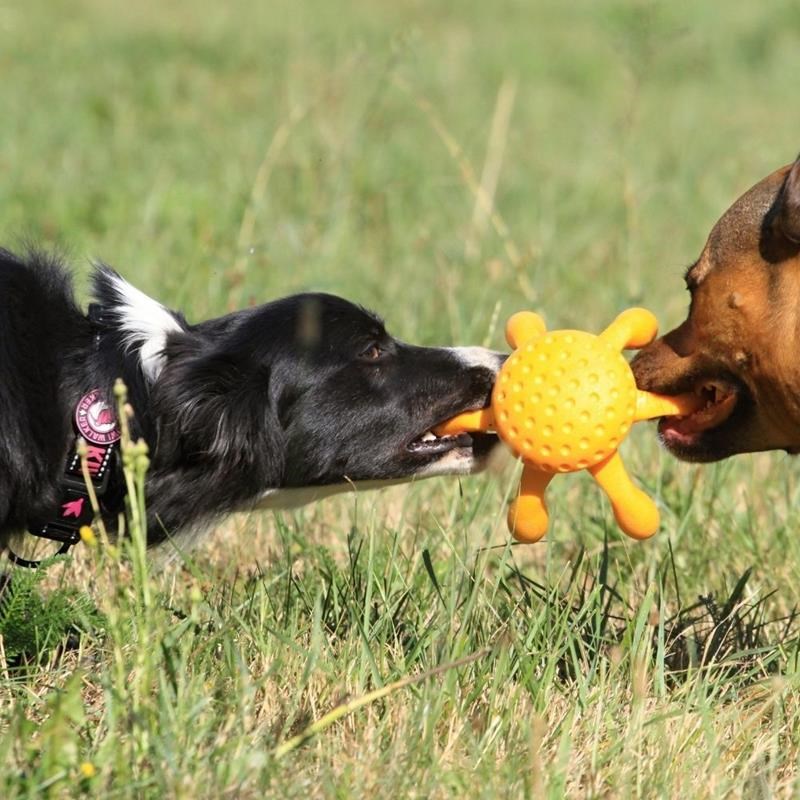Jouet Pieuvre "Let's Play" pour chien (Orange, Maxi) - Photo 3