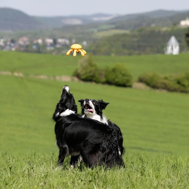 Jouet Pieuvre "Let's Play" pour chien (Orange, Maxi) - Photo 4