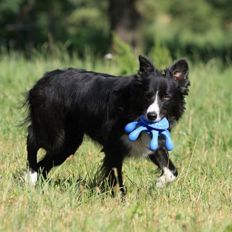Jouet Pieuvre "Let's Play" pour chien (Bleu, Maxi) - Photo 3