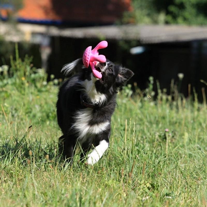 Jouet Pieuvre "Let's Play" pour chien (Rose, Maxi) - Photo 4