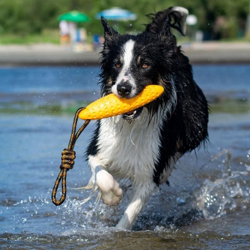 Jouet Zeppelin "Let's Play" pour chien (Orange, Maxi) - Photo 3
