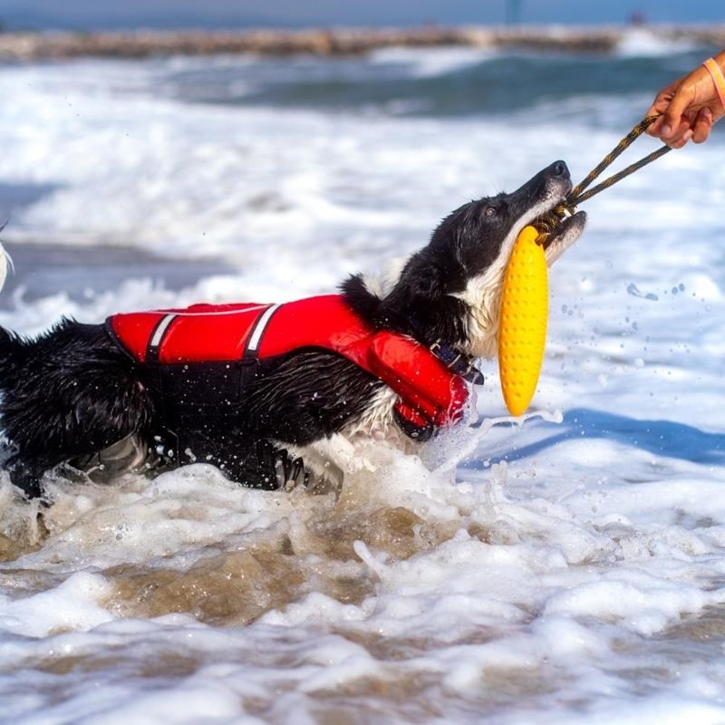 Jouet Zeppelin "Let's Play" pour chien (Orange, Maxi) - Photo 4