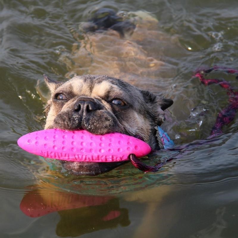 Jouet Zeppelin "Let's Play" pour chien (Rose, Maxi) - Photo 3