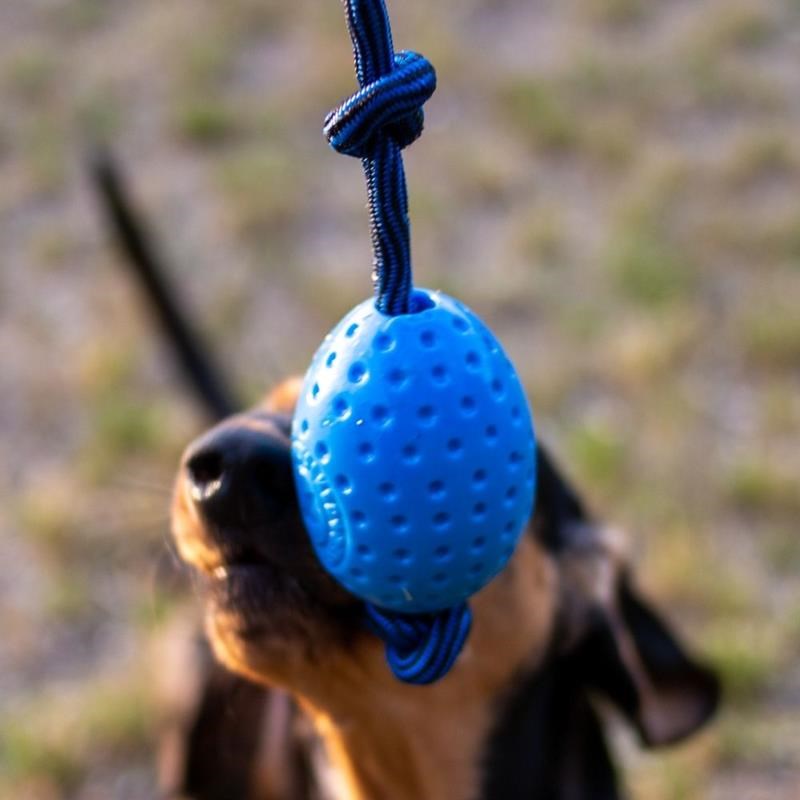 Jouet "Let's play" Egg pour chien (Bleu, Maxi) - Photo 2