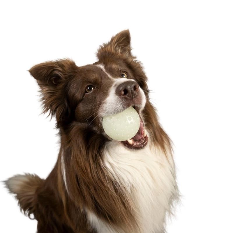 Balle GLOW phosphorescente pour chien (Maxi) - Photo 3