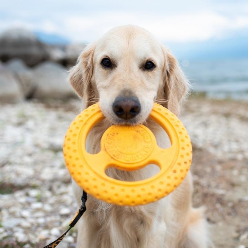 Frisbee "Let's Play" pour chien (Orange, Mini) - Photo 3