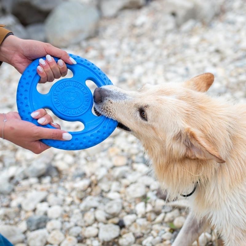 Frisbee "Let's Play" pour chien (Bleu, Mini) - Photo 3