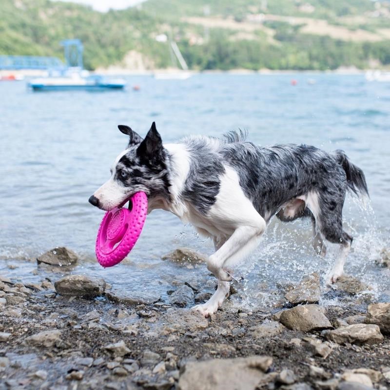 Frisbee "Let's Play" pour chien (Rose, Mini) - Photo 3