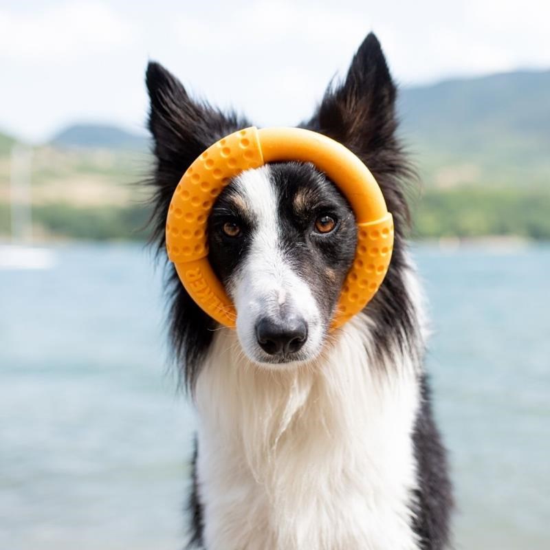 Anneau "Let's Play" pour chien (Orange, Mini) - Photo 3