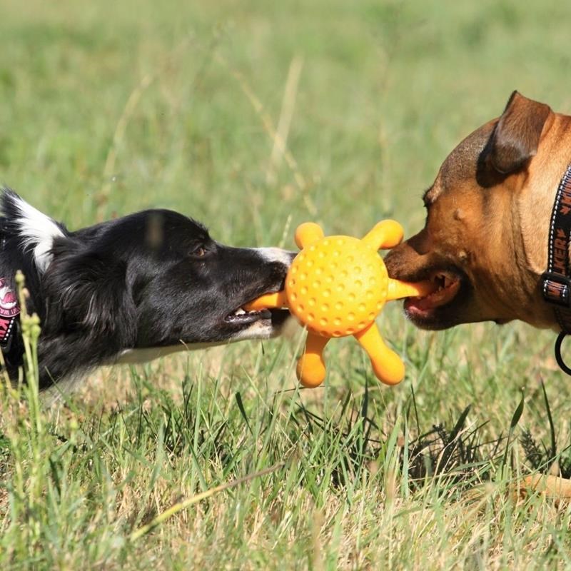 Jouet Pieuvre "Let's Play" pour chien (Orange, Mini) - Photo 3