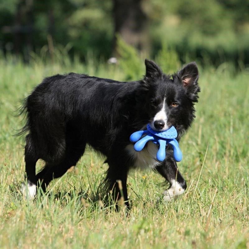 Jouet Pieuvre "Let's Play" pour chien (Bleu, Mini) - Photo 3