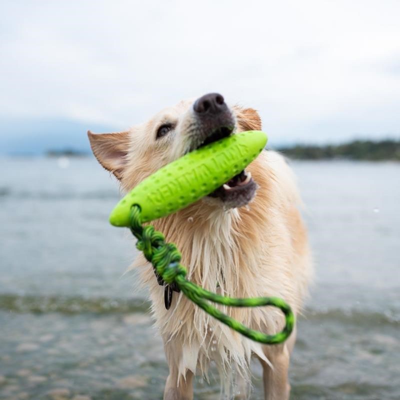Jouet Zeppelin "Let's Play" pour chien (Vert, Mini) - Photo 3