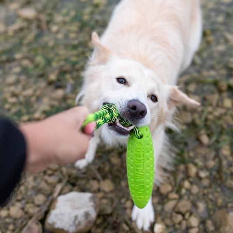 Jouet Zeppelin "Let's Play" pour chien (Bleu, Mini) - Photo 3