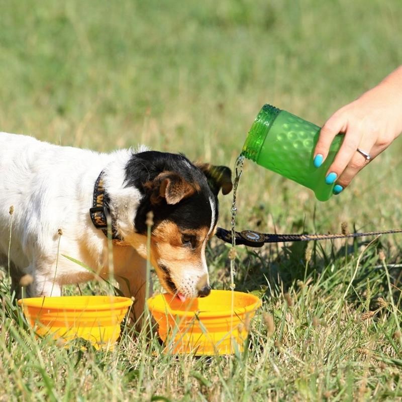 Bouteille de voyage 2en1 - pour chien (Orange/Vert) - Photo 3