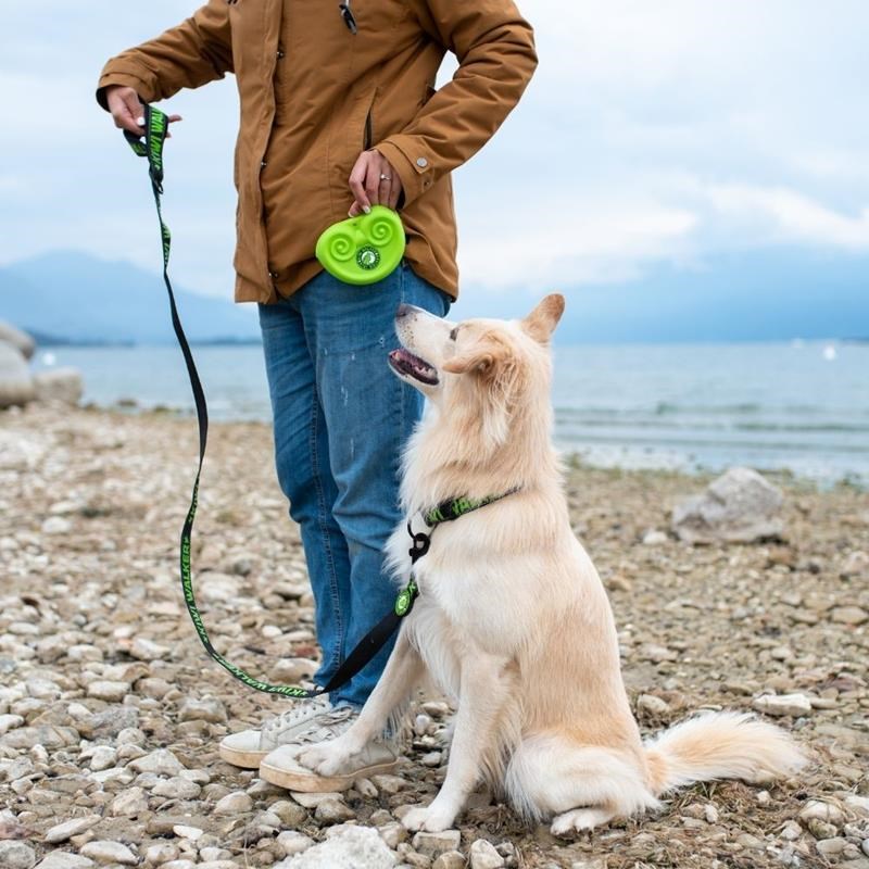 Pochette à friandises pour chien (Vert) - Photo 4