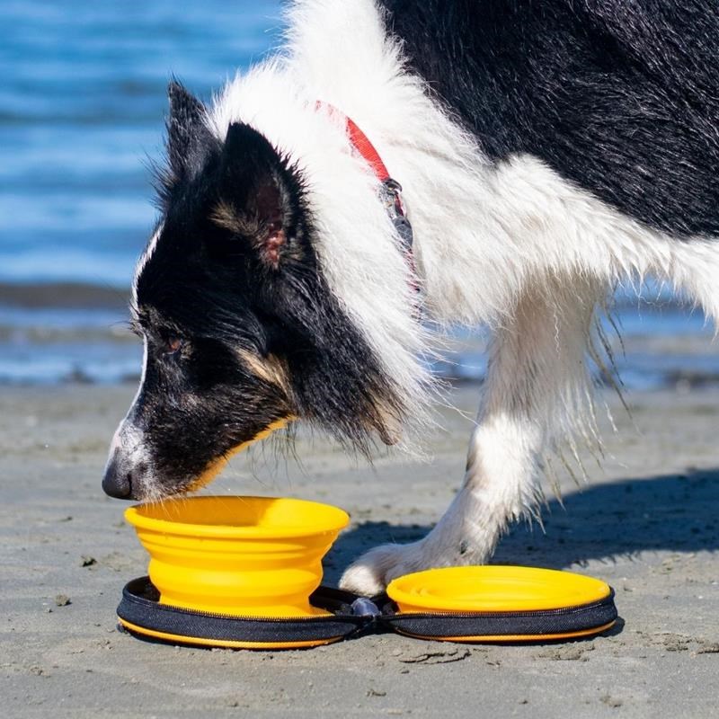 Gamelle pliante double de voyage pour chien (Orange) - Photo 4