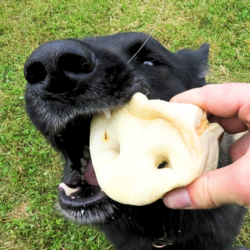 Groin de porc soufflé au miel LIGHT pour chien (Porc) - Photo 2