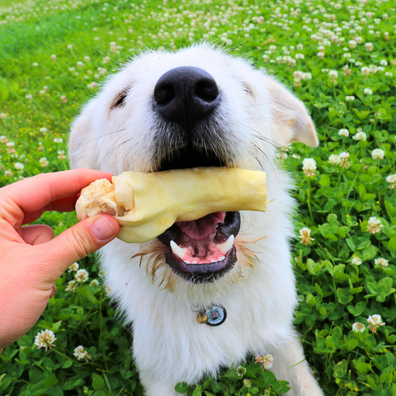 Queue de boeuf pour chien (200 g, Boeuf) - Photo 2