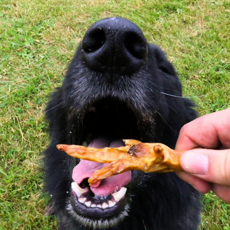 Pattes de poulets pour chien (250 g, Poulet) - Photo 2