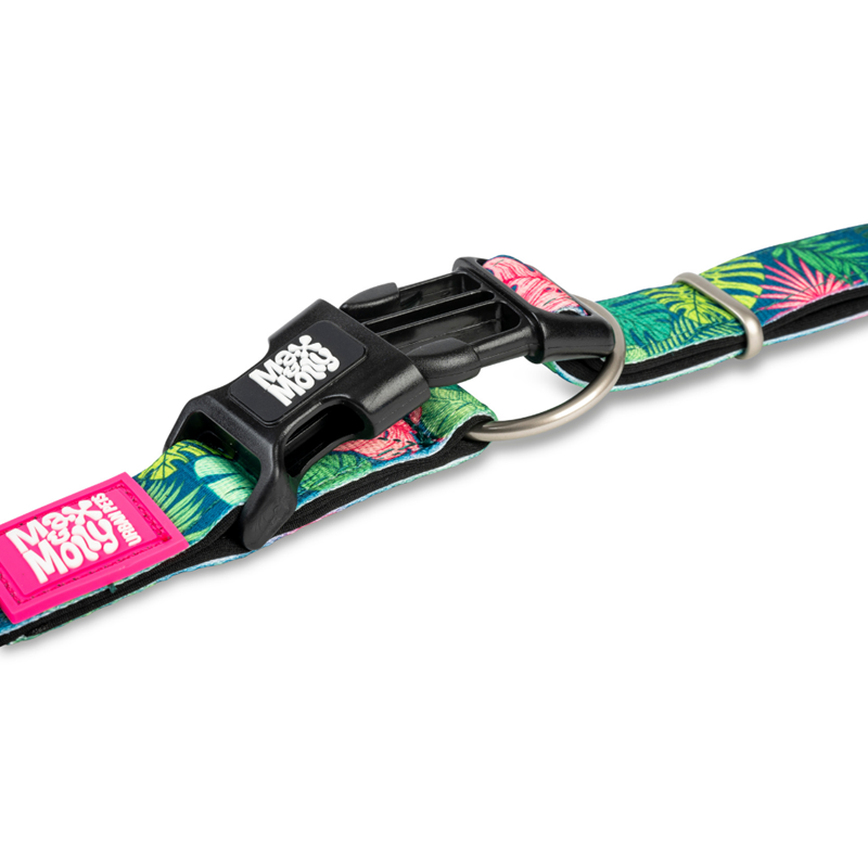 Collier pour chien Matrix 2.0 (Tropicale, XS) - Photo 2
