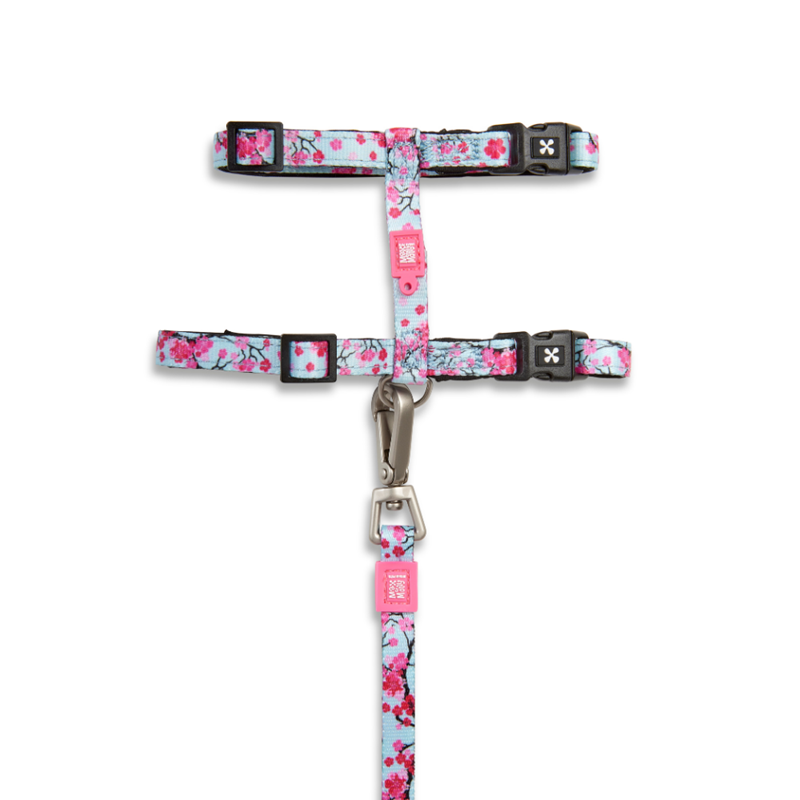 Set harnais et laisse pour chat (Fleur de cerisier) - Photo 2
