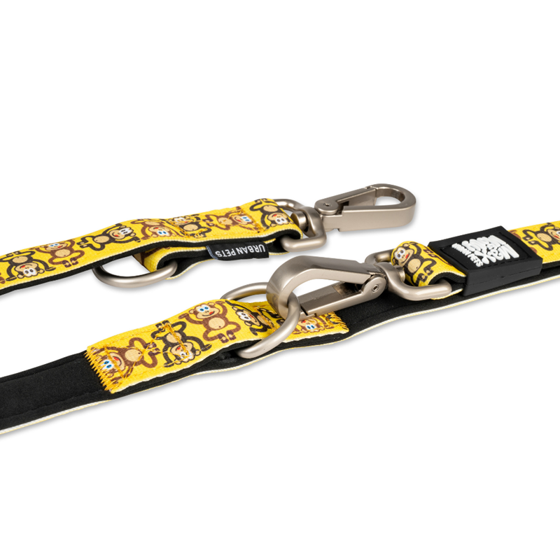 Laisse multi-fonction pour chien Matrix 2.0 (Singes, XS, 1,6 m) - Photo 4