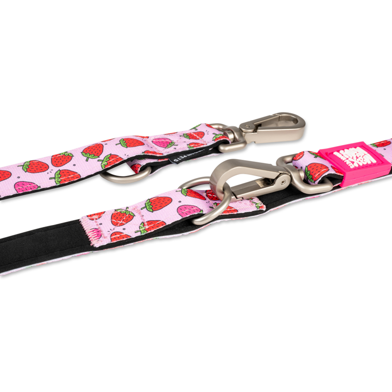 Laisse multi-fonction pour chien Matrix 2.0 (Fraise, XS, 1,6 m) - Photo 7