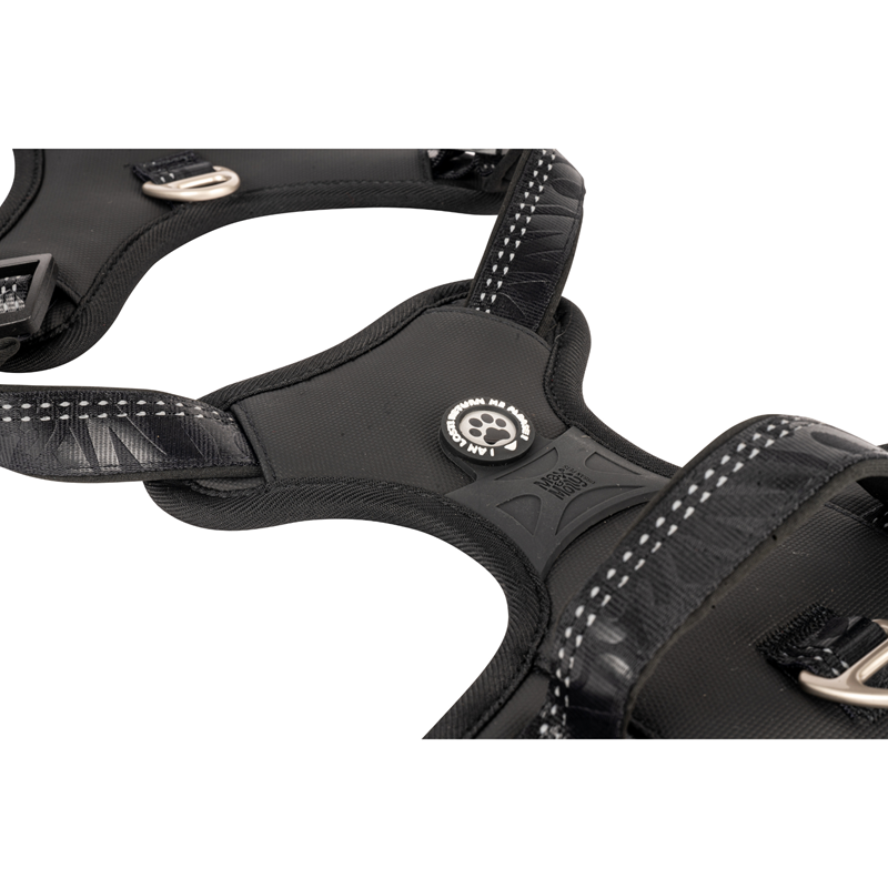 Harnais sport pour chien - Matrix 2.0 (Noir, S) - Photo 2