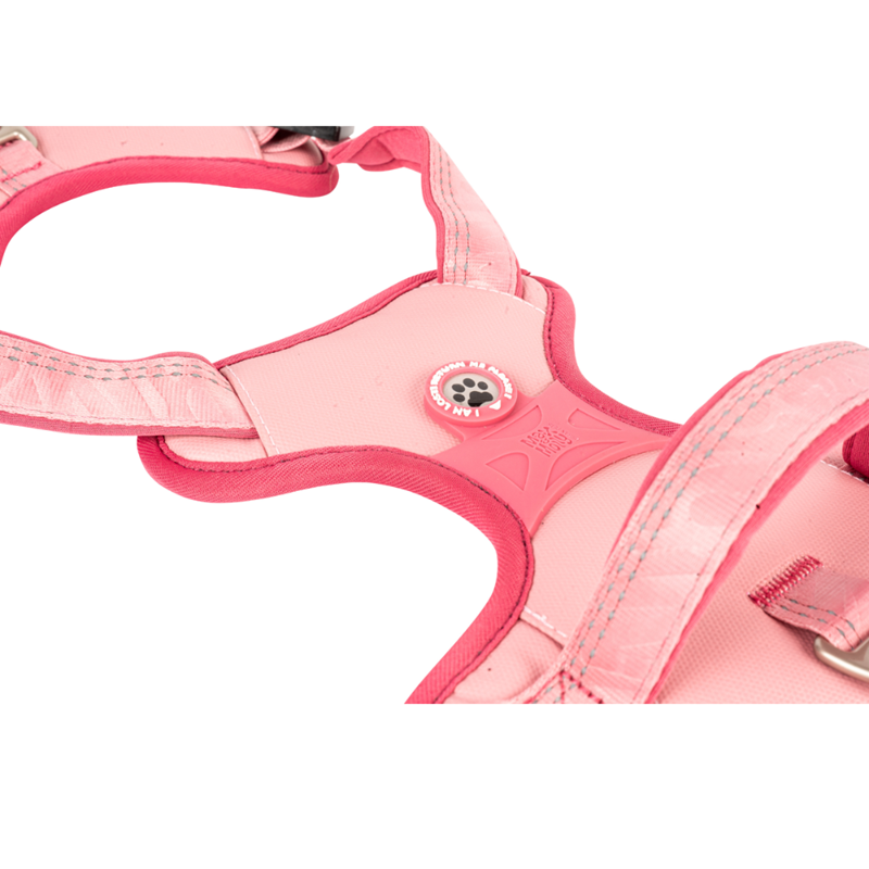 Harnais sport pour chien - Matrix 2.0 (Rose, S) - Photo 2